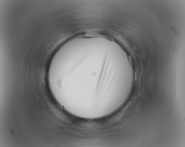 X0000113540201200910161419