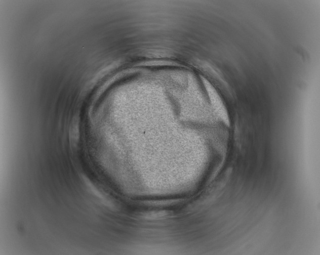 X0000113540202200910161419