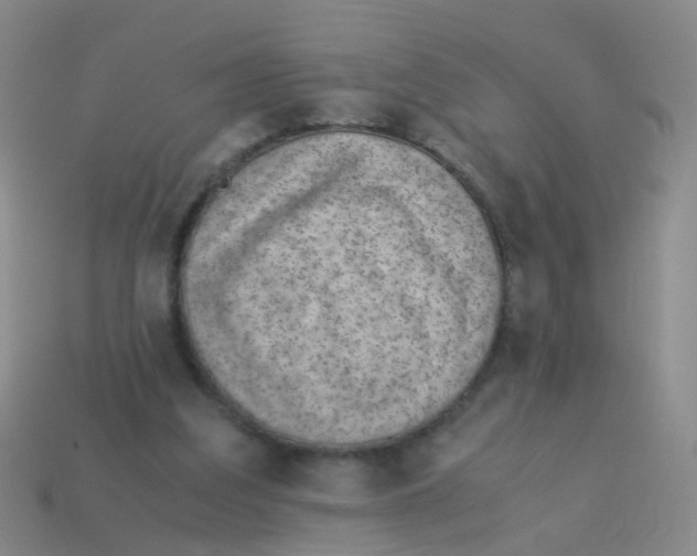 X0000113540203200910161419