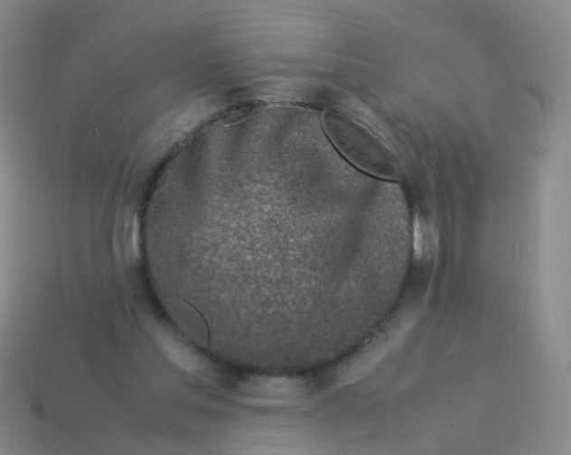 X0000113540205200910161419