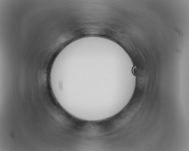 X0000113540207200910161419