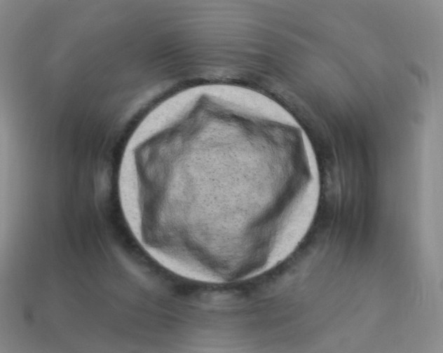 X0000113540208200910161419