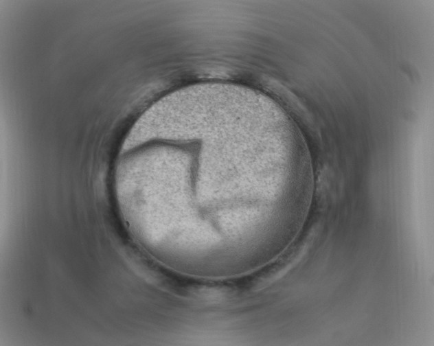 X0000113540209200910161419