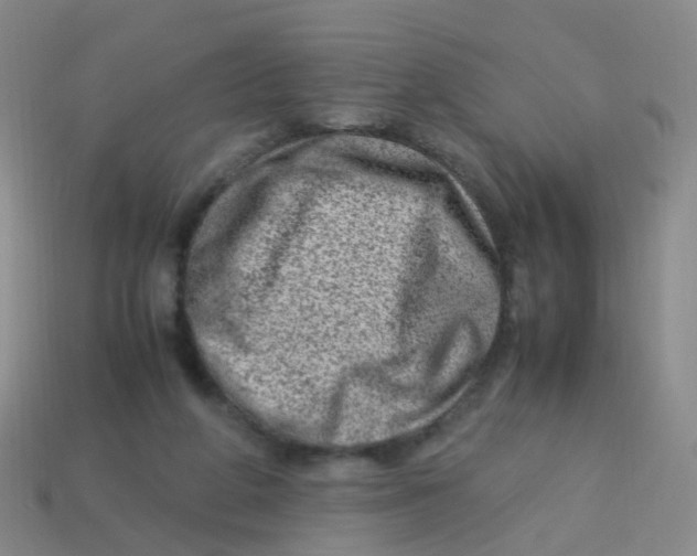 X0000113540210200910161419