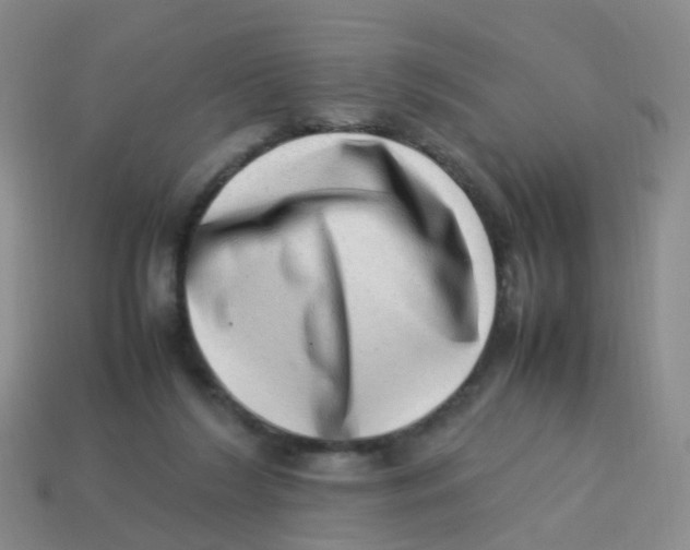 X0000113540212200910161419