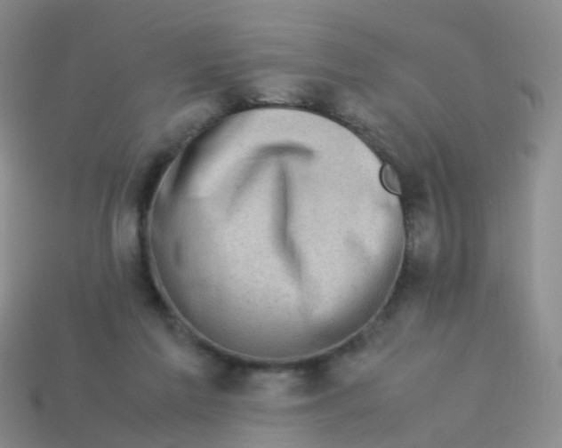 X0000113540213200910161419