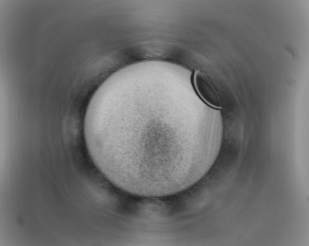 X0000113540215200910161419