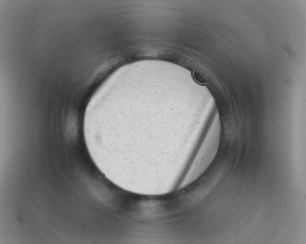X0000113540216200910161419