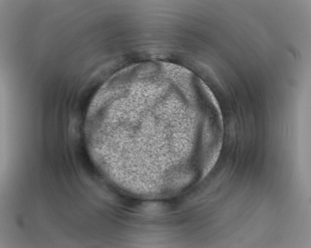 X0000113540218200910161419