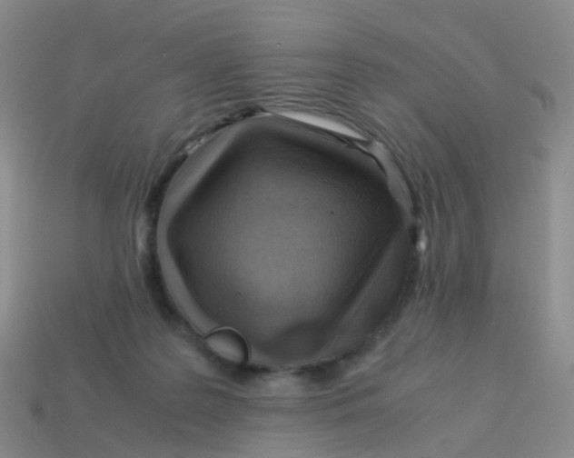X0000113540219200910161419