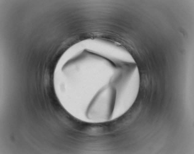 X0000113540220200910161419