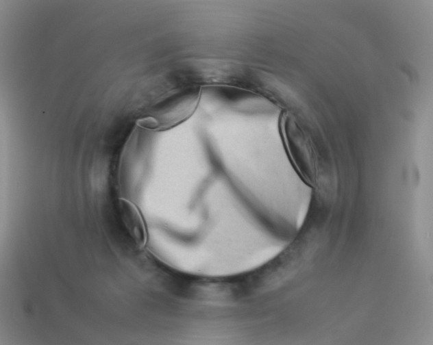 X0000113540221200910161419