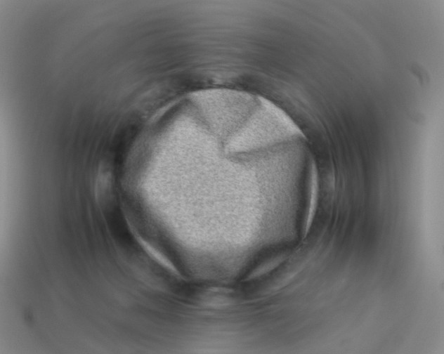 X0000113540222200910161419