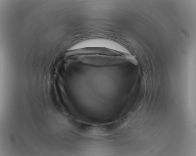 X0000113540223200910161419