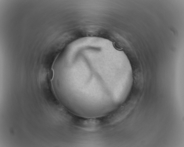 X0000113540225200910161419