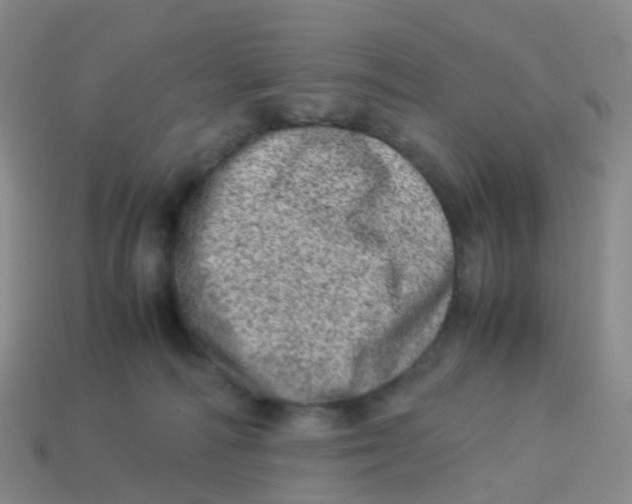 X0000113540226200910161419