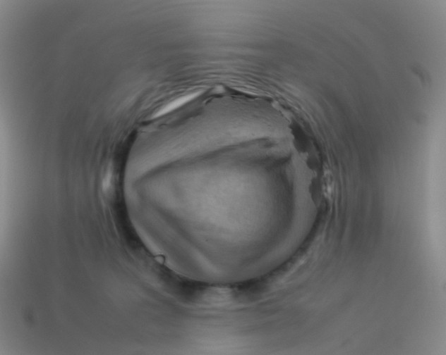 X0000113540227200910161419
