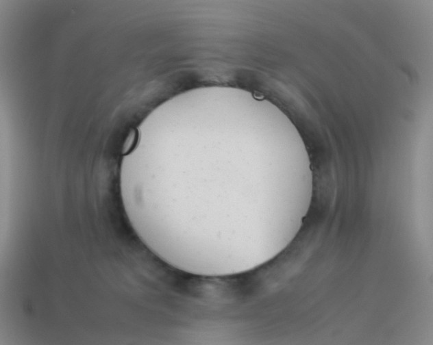 X0000113540229200910161419