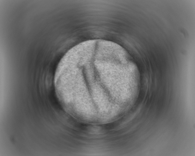 X0000113540230200910161419