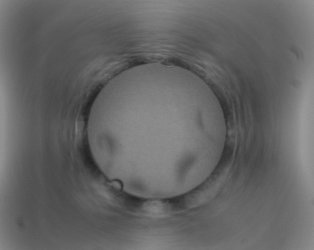X0000113540231200910161419