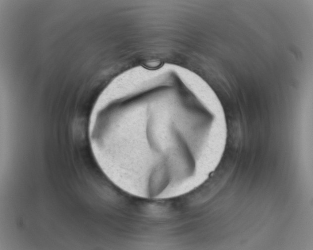 X0000113540232200910161419
