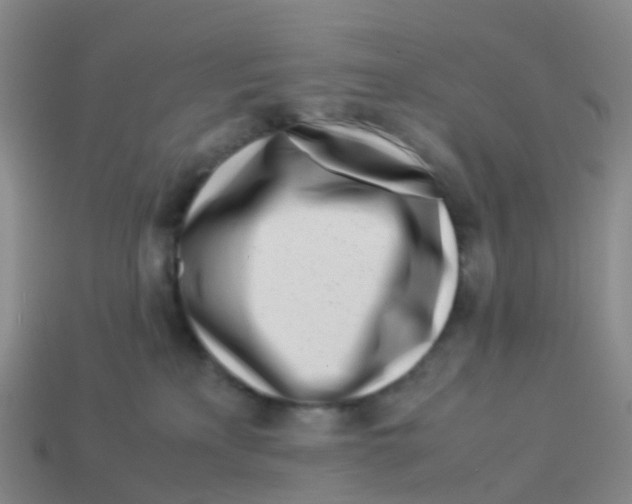X0000113540233200910161419