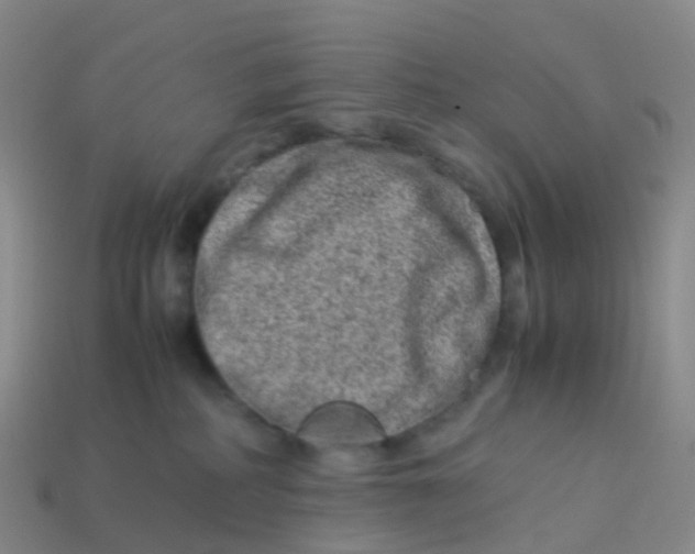 X0000113540234200910161419