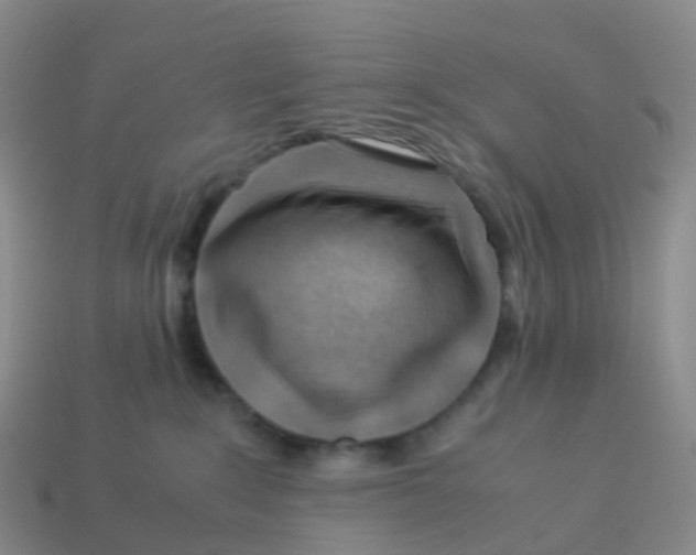 X0000113540235200910161418