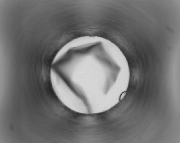 X0000113540236200910161418