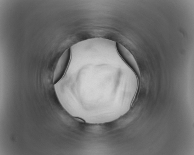 X0000113540237200910161418