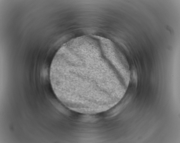 X0000113540238200910161418