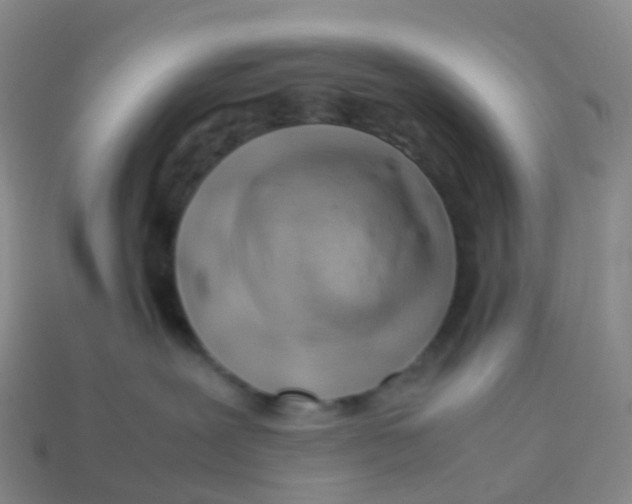X0000113540239200910161418