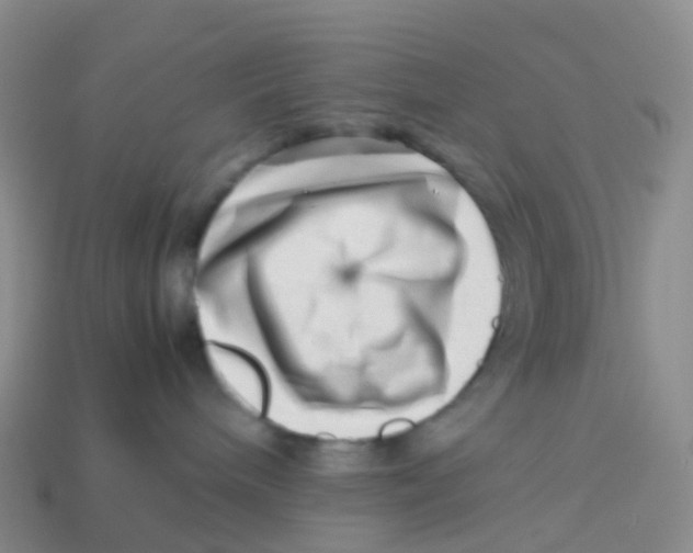 X0000113540240200910161418