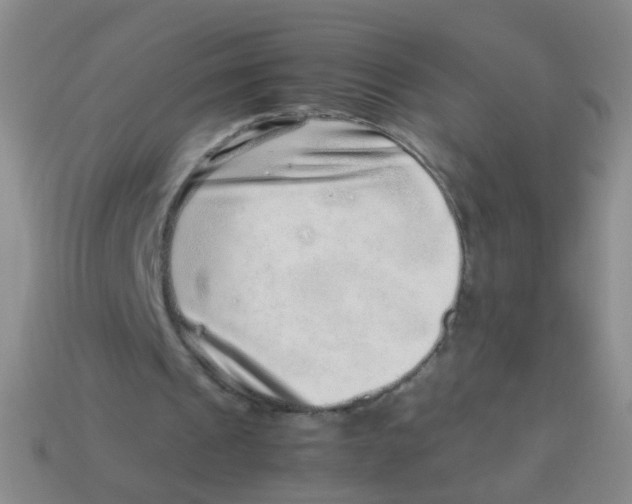 X0000113540241200910161418