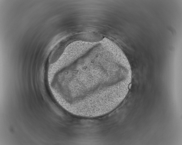 X0000113540242200910161418