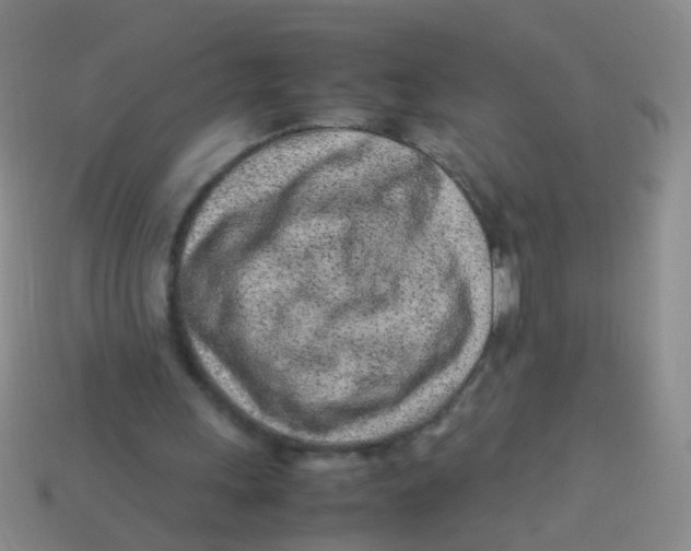 X0000113540243200910161418