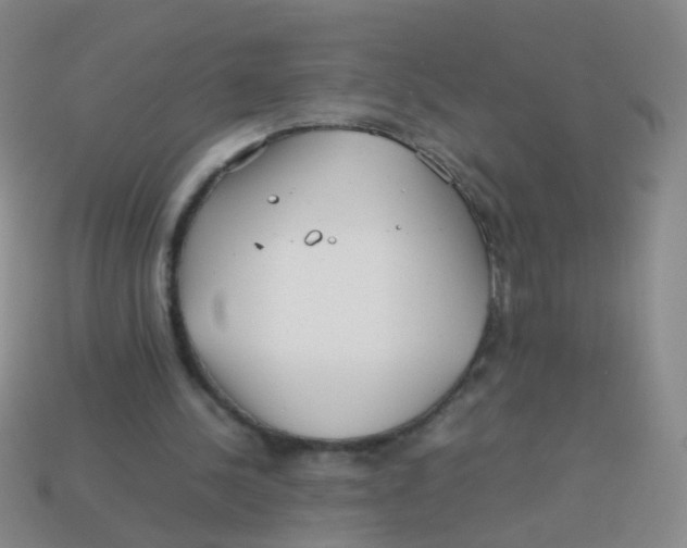 X0000113540244200910161418