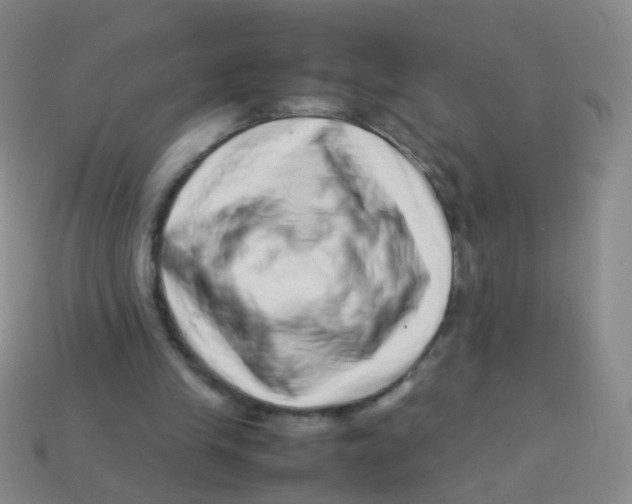 X0000113540245200910161418