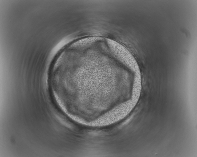 X0000113540246200910161418