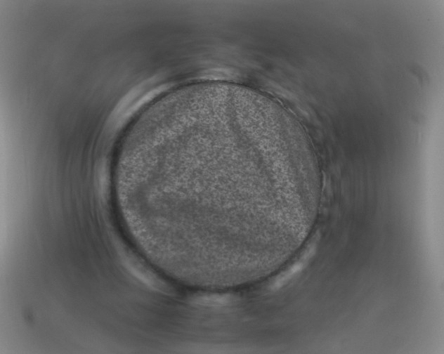 X0000113540247200910161418