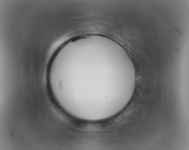 X0000113540248200910161418