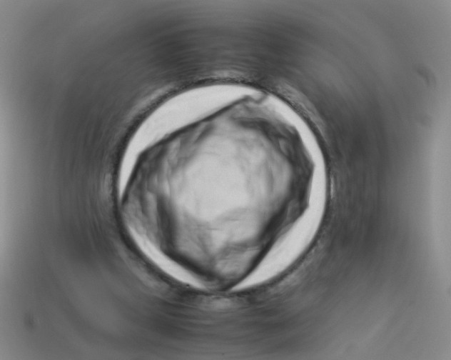X0000113540249200910161418