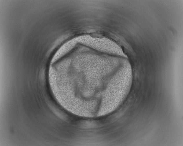 X0000113540250200910161418