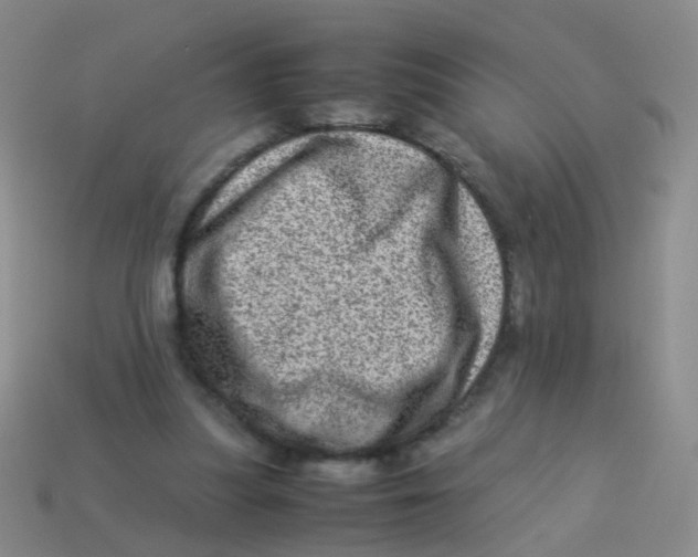 X0000113540251200910161418