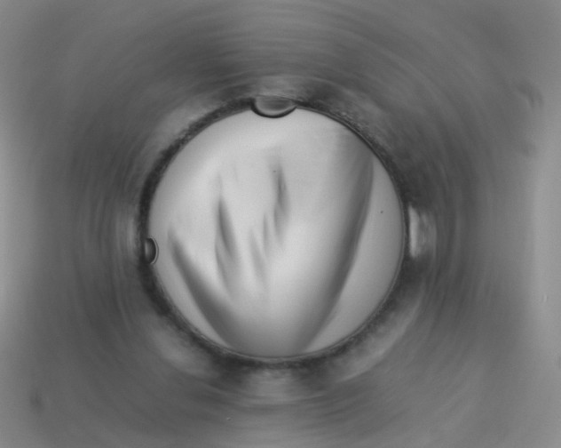 X0000113540252200910161418