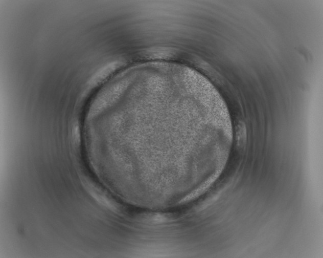 X0000113540254200910161418