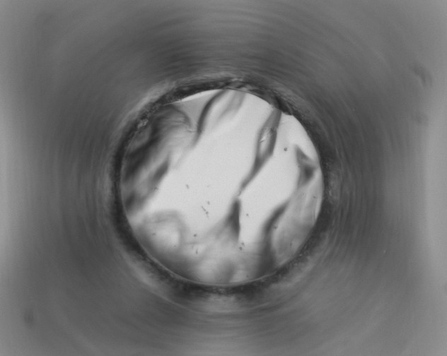 X0000113540256200910161418