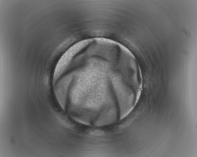 X0000113540258200910161418