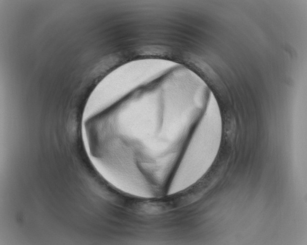 X0000113540261200910161418