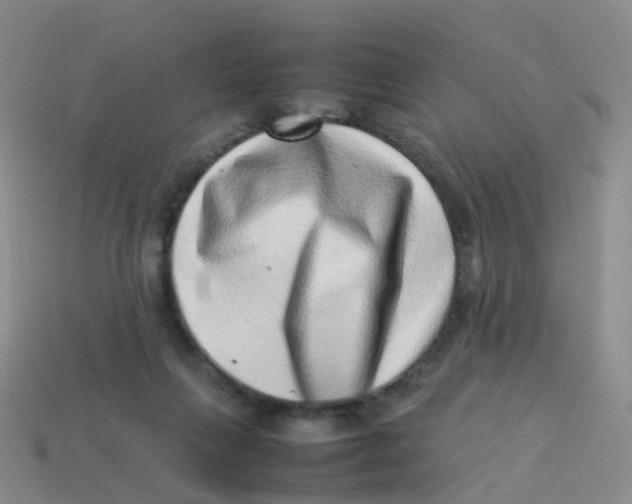 X0000113540263200910161418